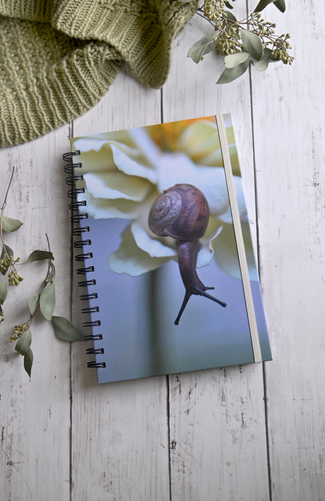 Beautiful photo of a Brown snail crawling on a cream flower. Durable hardcover journal-200 lined pages- photo by Kristen Olivares