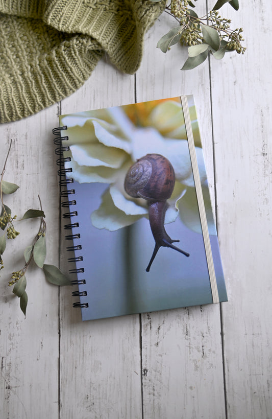 Beautiful photo of a Brown snail crawling on a cream flower. Durable hardcover journal-200 lined pages- photo by Kristen Olivares