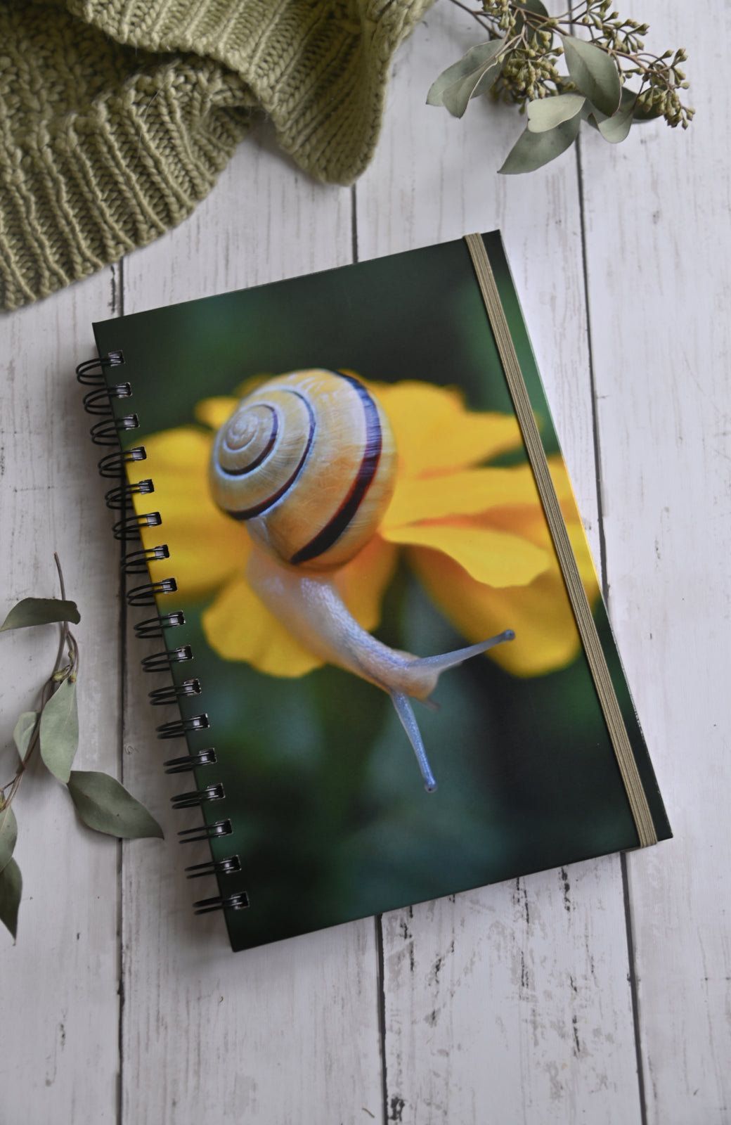 Beautiful photo of a yellow snail crawling on a yellow flower. Durable hardcover journal-200 lined pages- photo by Kristen Olivares