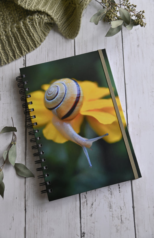 Beautiful photo of a yellow snail crawling on a yellow flower. Durable hardcover journal-200 lined pages- photo by Kristen Olivares