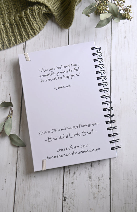 Beautiful photo of a Brown snail crawling on a cream flower. Durable hardcover journal-200 lined pages- photo by Kristen Olivares