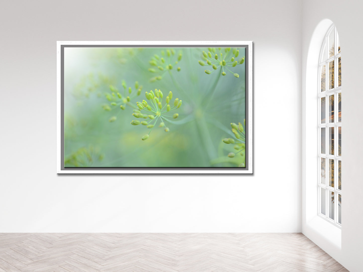 Little Dill Buds-Fine Art Photography-Bright Yellow Dill Flower Buds