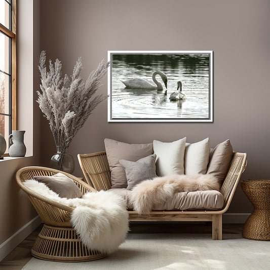 Mom and Baby in the Bay-Fine Art Photography-Beautiful Mom and Baby Swans