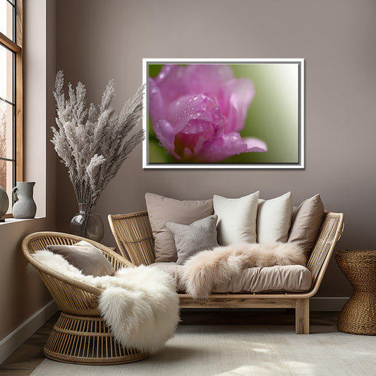 Beautiful dark pink Peony after the rain. Framed fine art photography by Kristen Olivares