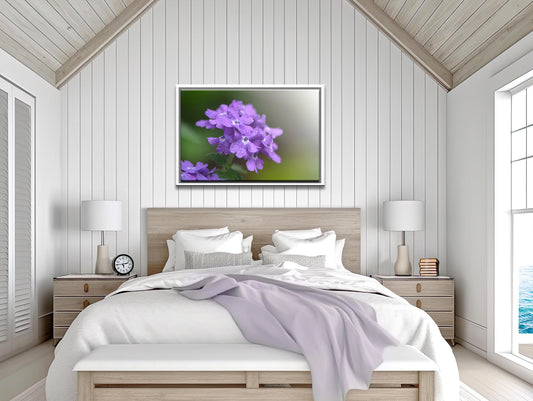 A bold and bright purple Phlox Flower in the rain. Framed fine art photography by Kristen Olivares.