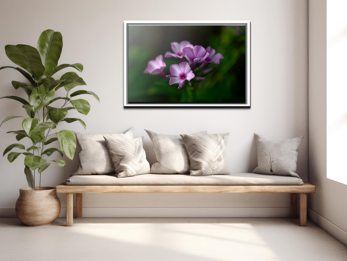 Beautiful pink Phlox flower. Framed fine art photography. Canvas wall art by Kristen Olivares