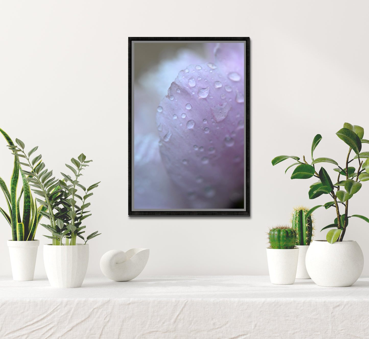 Pink in the Rain-Fine Art Photography-Rain Drops on a Pink Peony