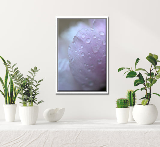 Pink in the Rain-Fine Art Photography-Rain Drops on a Pink Peony
