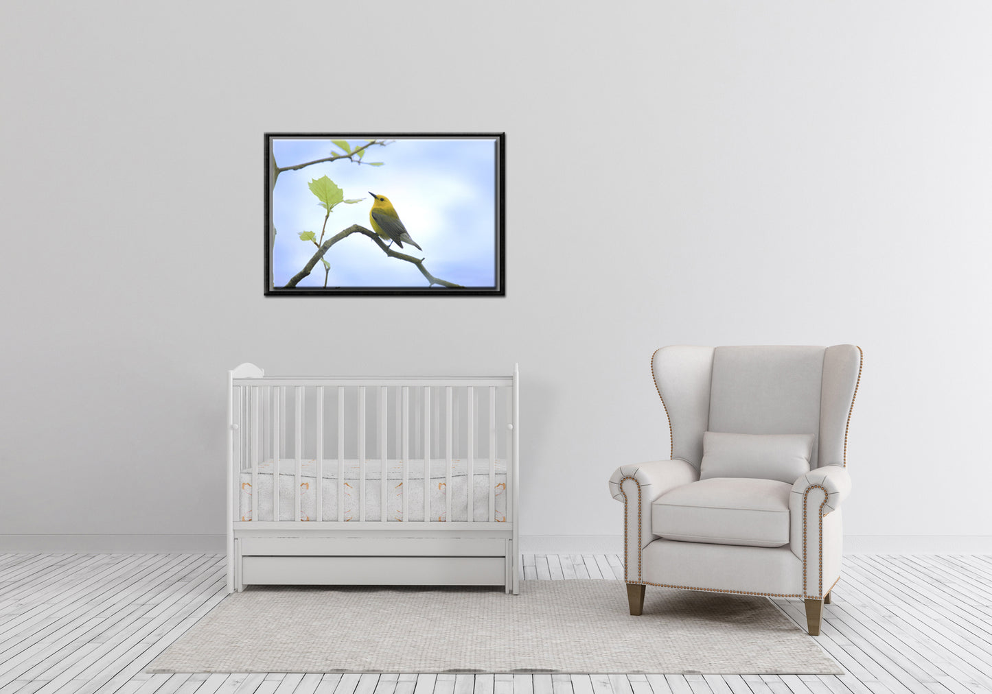 Beautiful bright yellow Prothonotary Warbler Canvas Framed wall art by Kristen Olivares