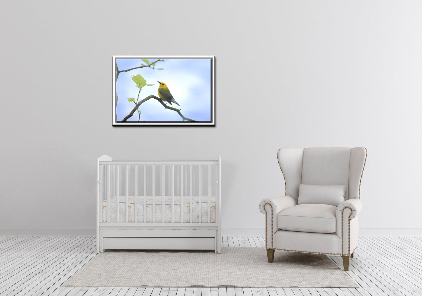 Beautiful bright yellow Prothonotary Warbler Canvas Framed wall art by Kristen Olivares