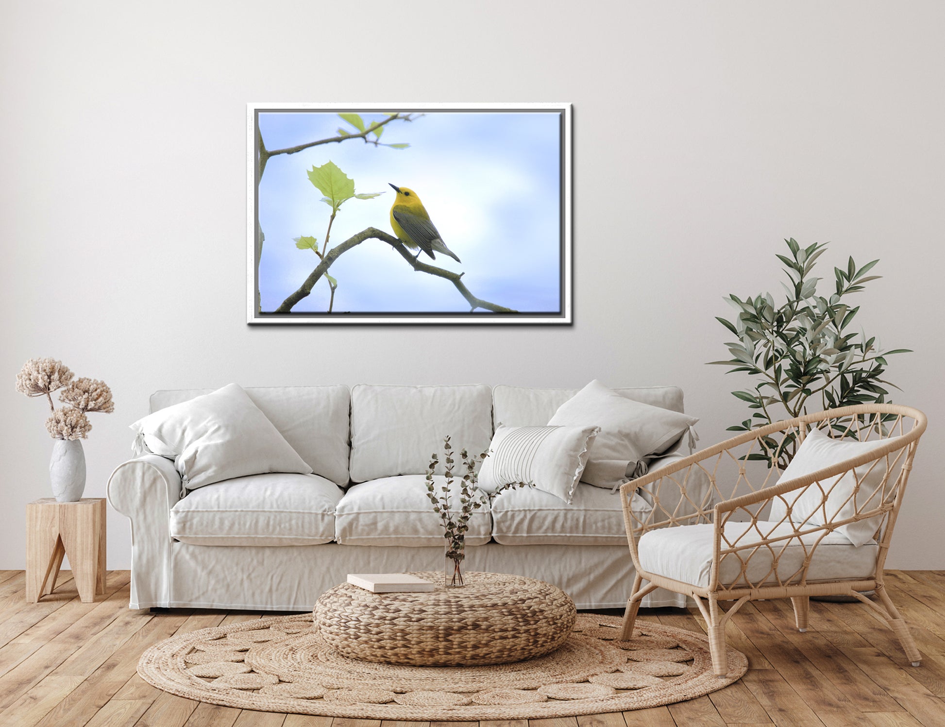 Beautiful bright yellow Prothonotary Warbler Canvas Framed wall art by Kristen Olivares