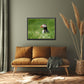 A stunning, colorful puffin in the bright green field of the Faroe Islands. Framed canvas wall art by Kristen Olivares.