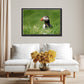 A stunning, colorful puffin in the bright green field of the Faroe Islands. Framed canvas wall art by Kristen Olivares.