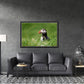 A stunning, colorful puffin in the bright green field of the Faroe Islands. Framed canvas wall art by Kristen Olivares.