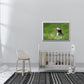 A stunning, colorful puffin in the bright green field of the Faroe Islands. Framed canvas wall art by Kristen Olivares.