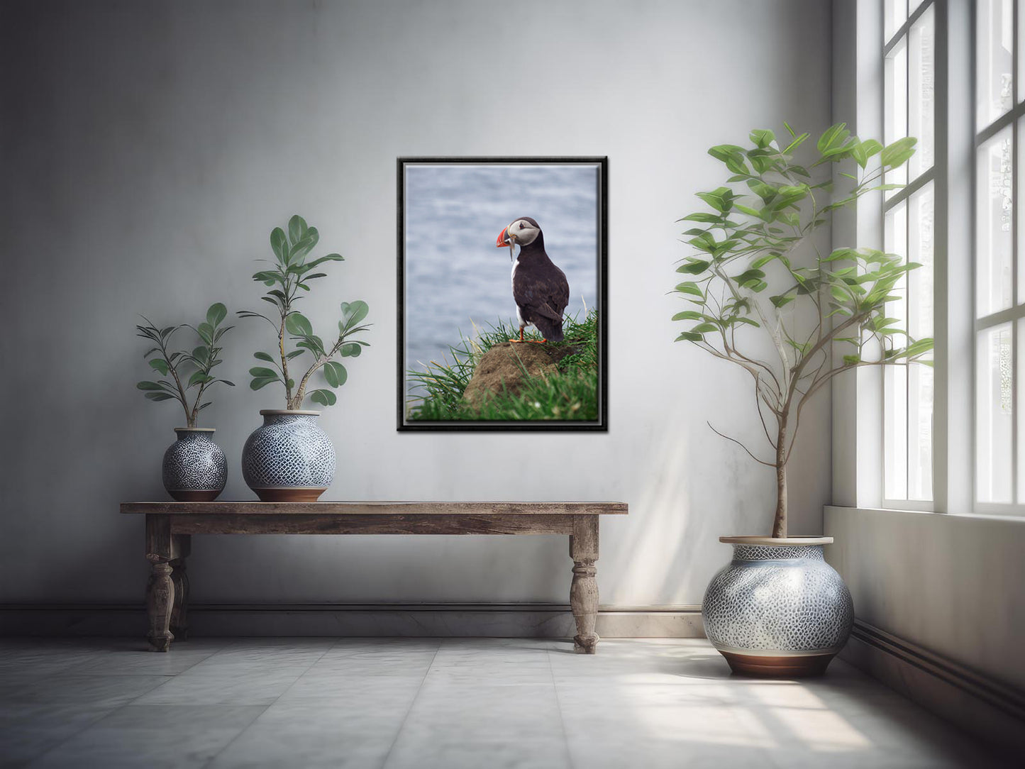 Beautiful Puffin with a fish in its beak. Framed fine art photography by Kristen Olivares. 