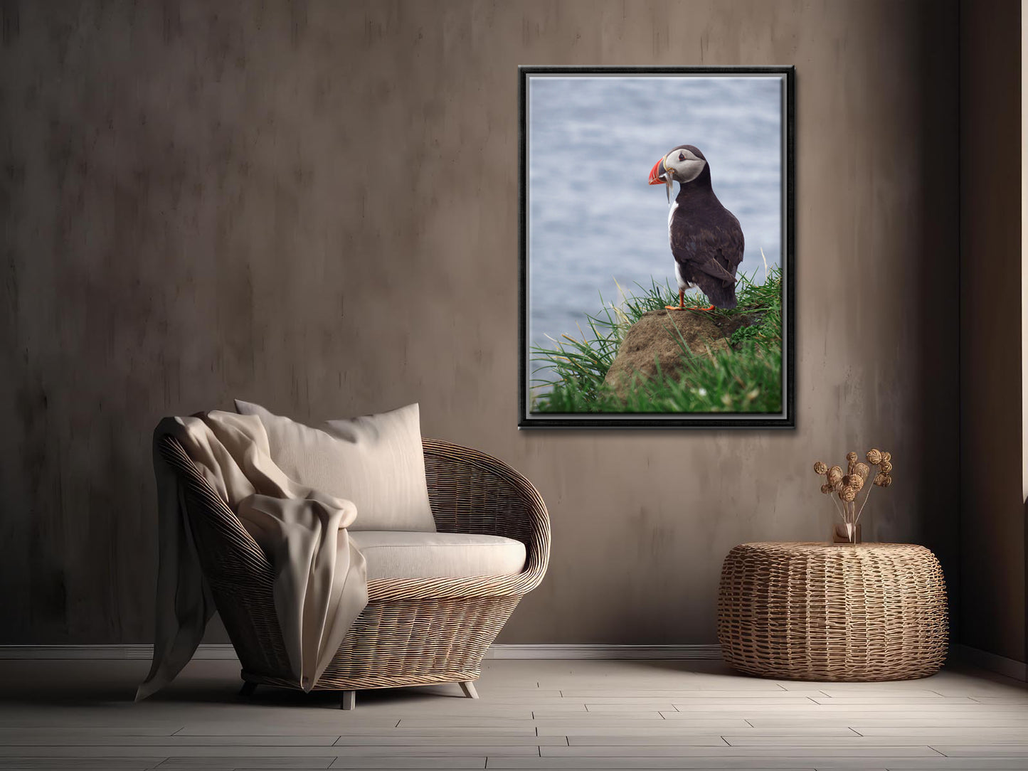 Beautiful Puffin with a fish in its beak. Framed fine art photography by Kristen Olivares. 