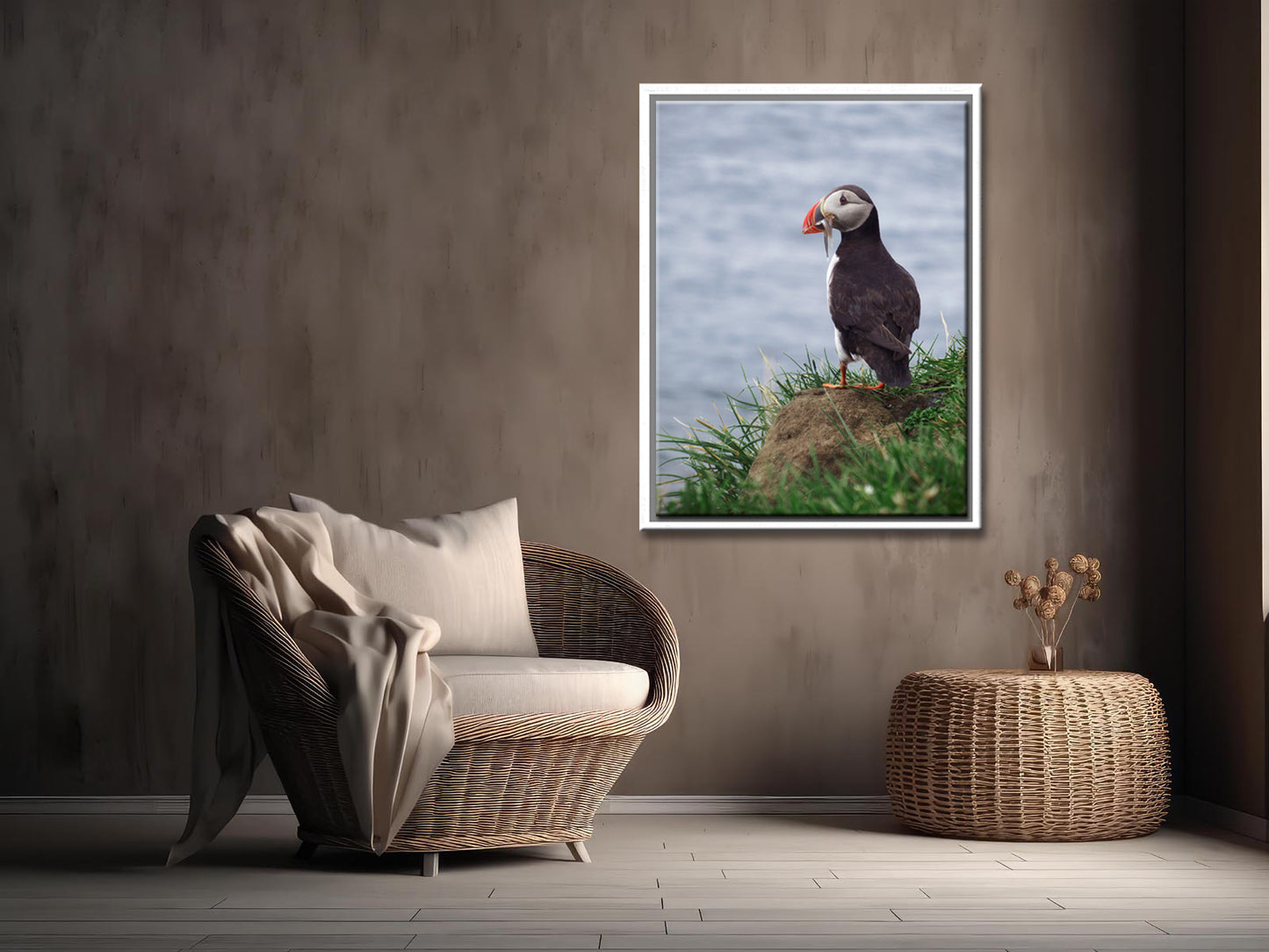 Beautiful Puffin with a fish in its beak. Framed fine art photography by Kristen Olivares. 
