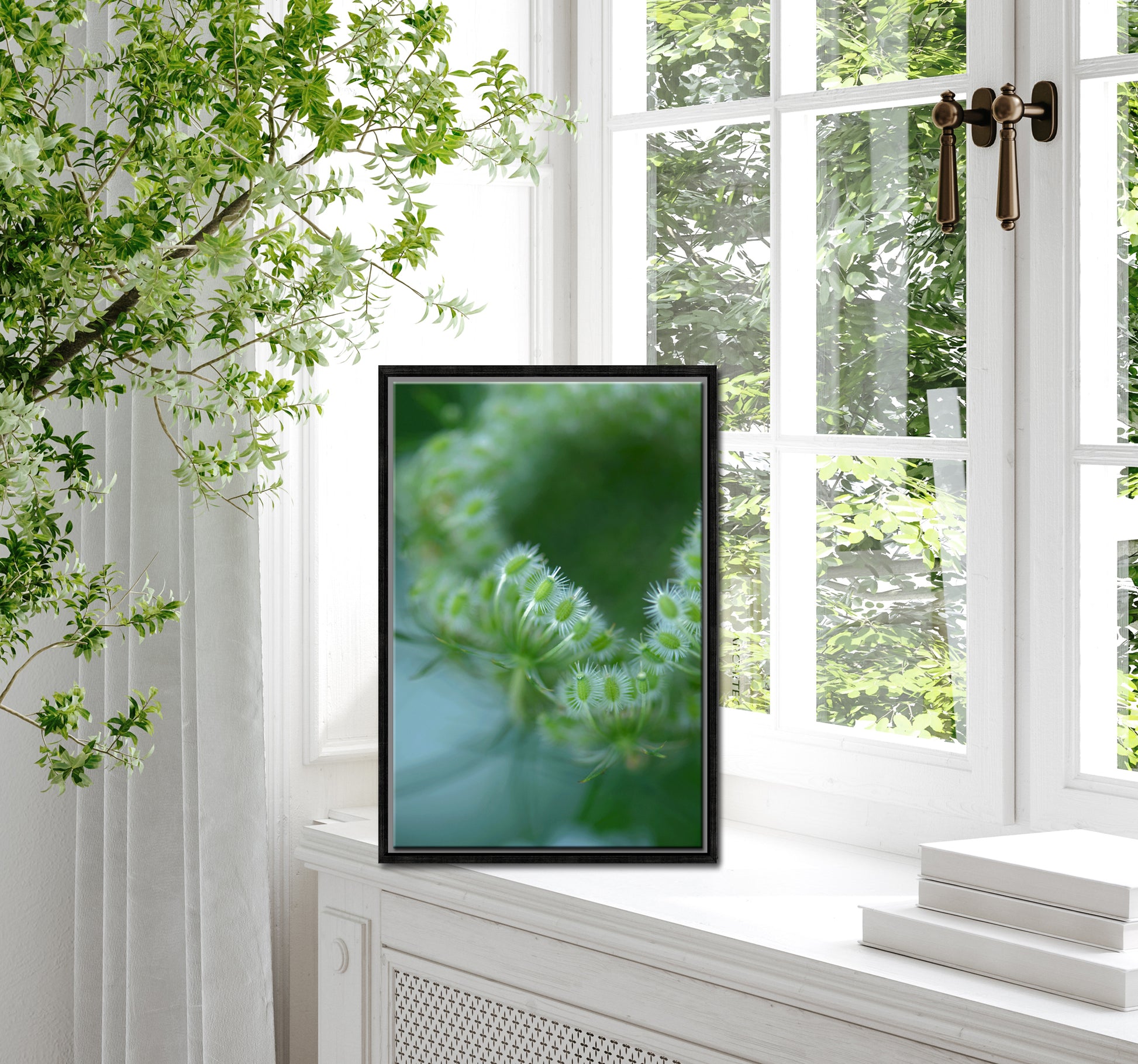Beautiful, green macro of Queen Ann’s Lace. Canvas wall art by Kristen Olivares.