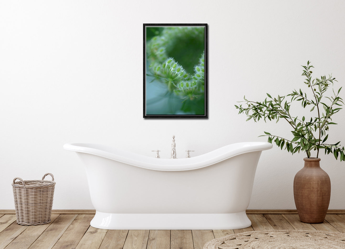 Beautiful, green macro of Queen Ann’s Lace. Canvas wall art by Kristen Olivares.