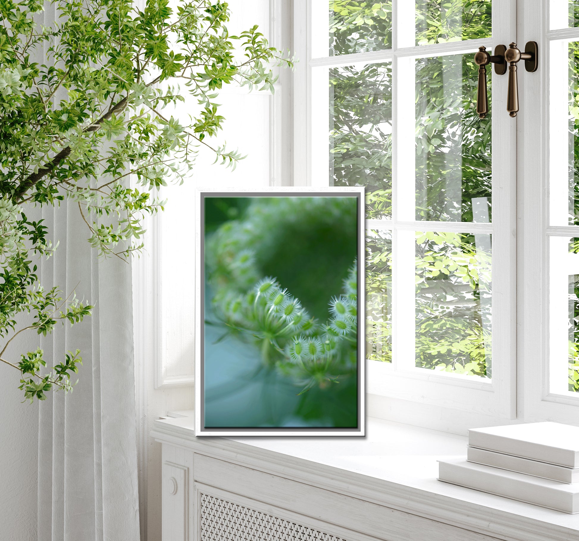 Beautiful, green macro of Queen Ann’s Lace. Canvas wall art by Kristen Olivares.
