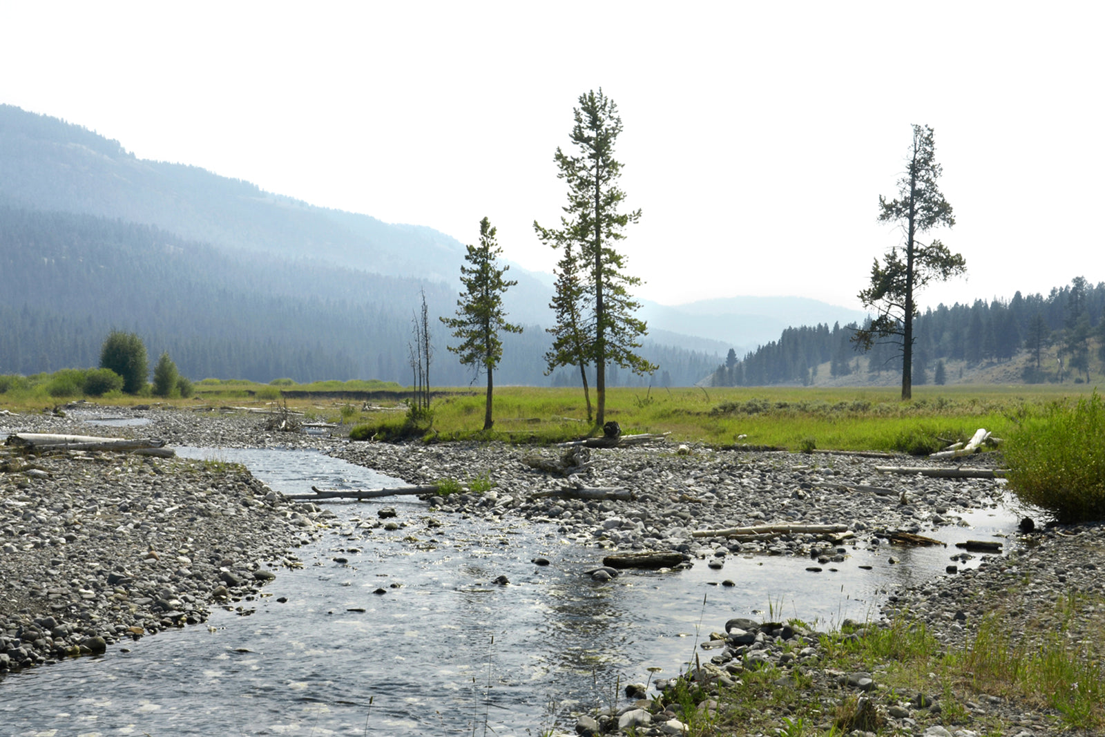 Beautiful Yellowstone, this river runs right through it Mountains and trees, stunning fine art photography by Kristen Olivares.