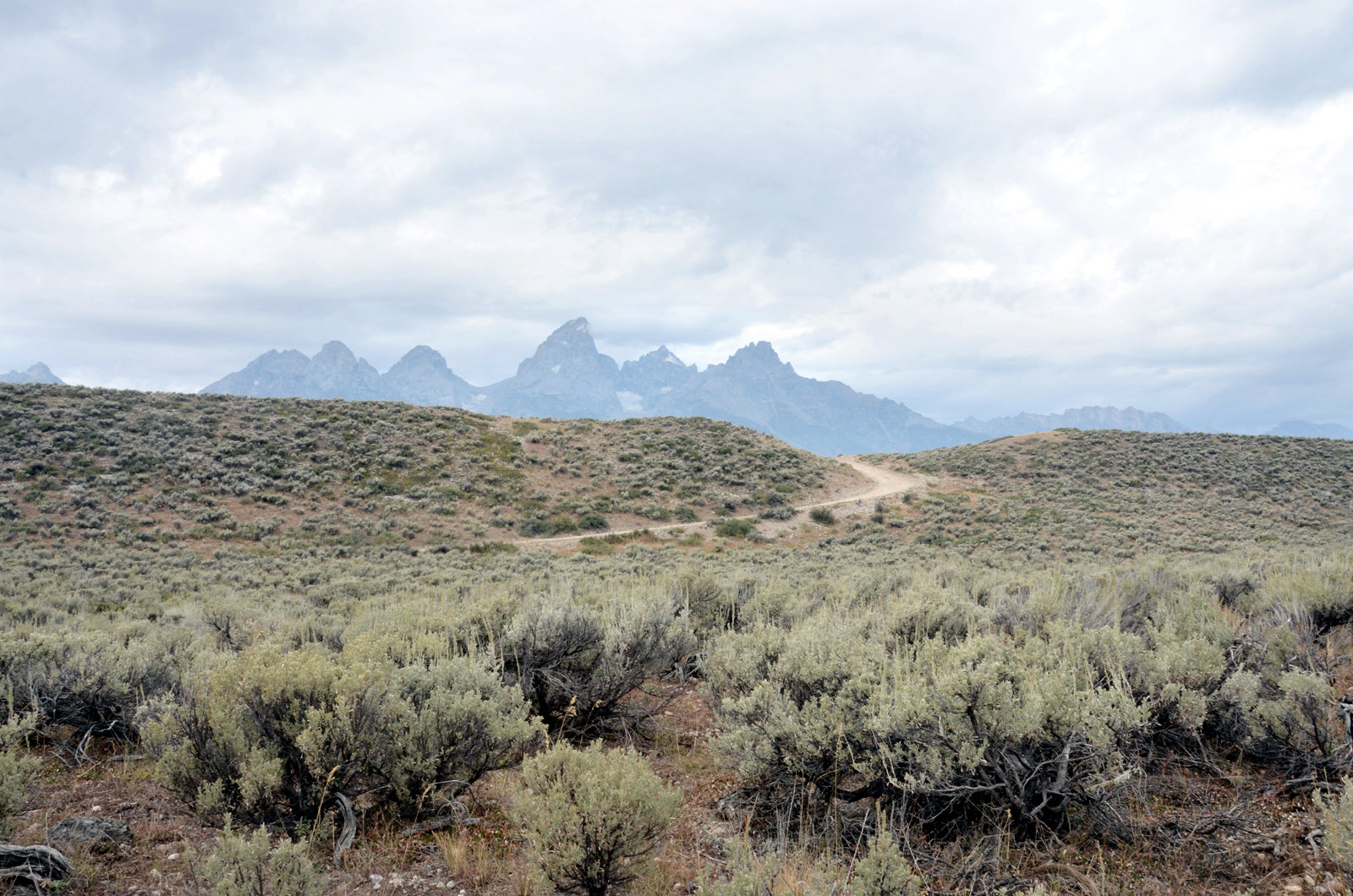 A beautiful photo of an old road running through the beautiful lands of the rand Tetons. Framed Canvas Wall Art-Fine Art Photography by Kristen Olivares