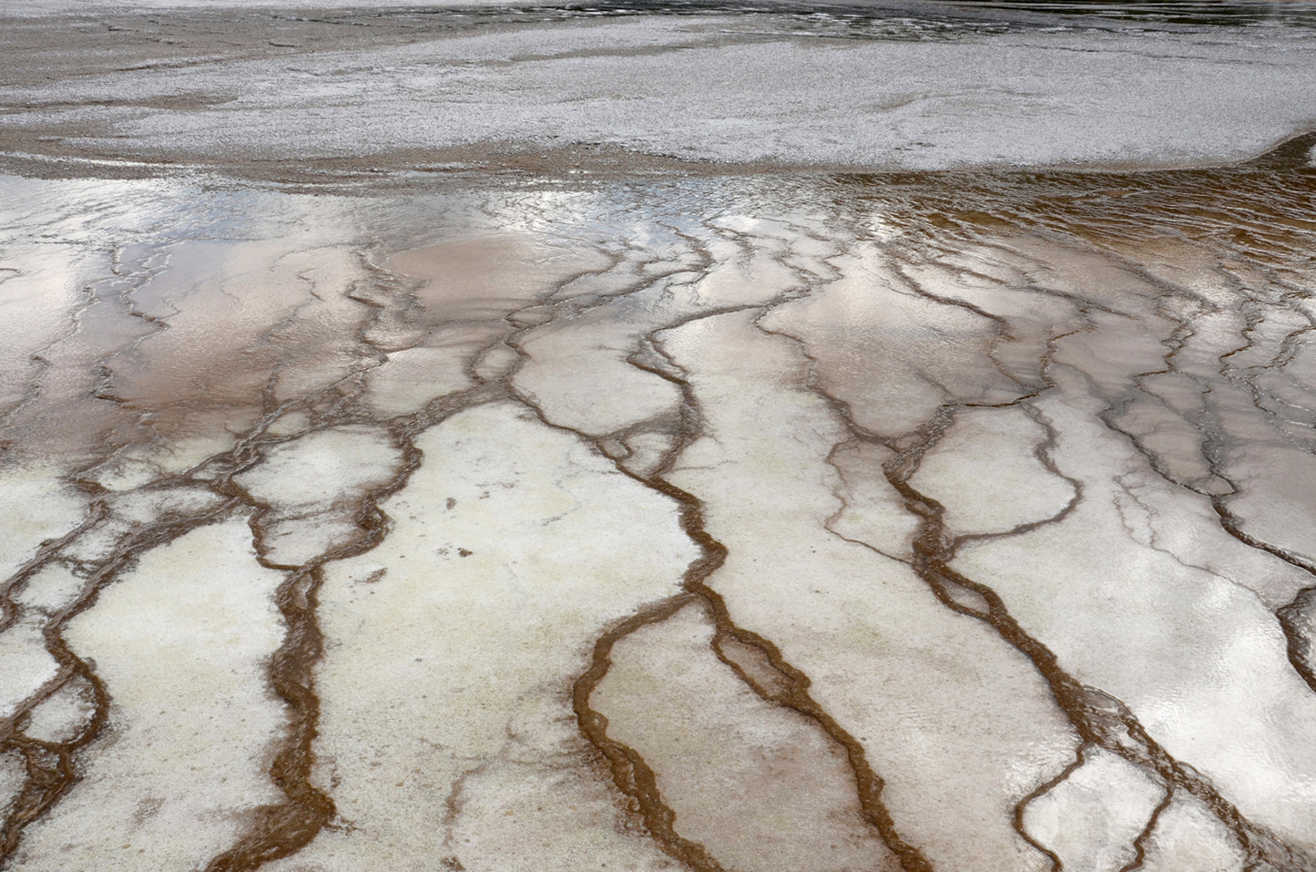 Beautiful Salt Flats of Yellowstone. Framed canvas wall art. Fine art photography by Kristen Olivares.