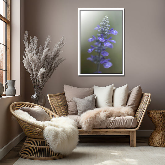 Delicate purple Salvia flowers. Macro Photo. Framed fine art photography by Kristen Olivares.