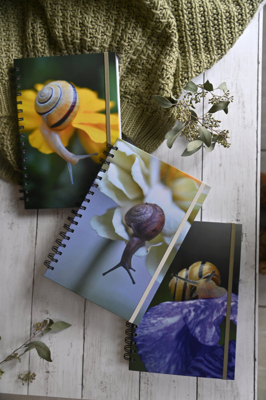 Set of 3-Hardcover-Spiral-200 Page-Lined Journal-Snails