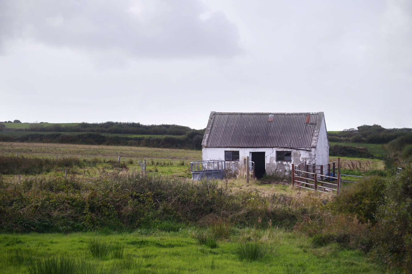 Desolate Shack in Ireland- framed Canvas Print by Kristen Olivares