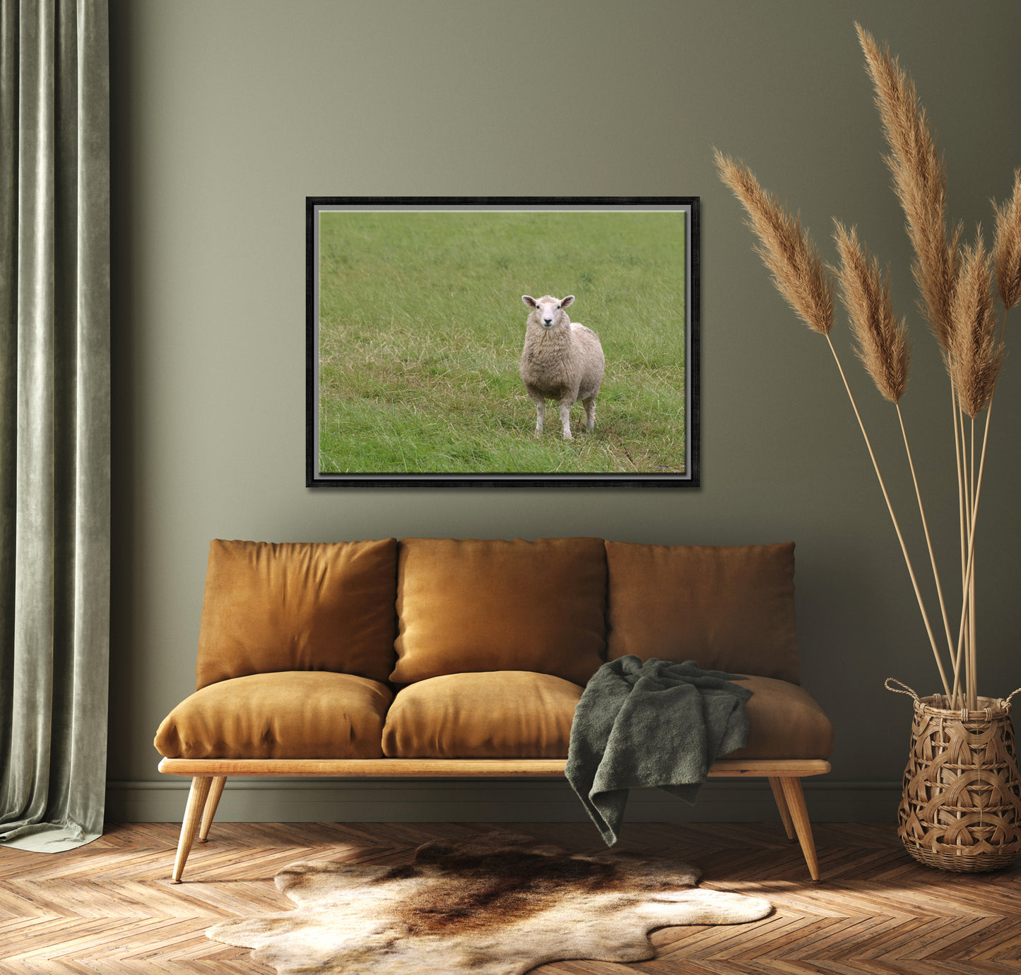 A lone sheep in the fields of Ireland. Framed Canvas Wall Art by Kristen Olivares