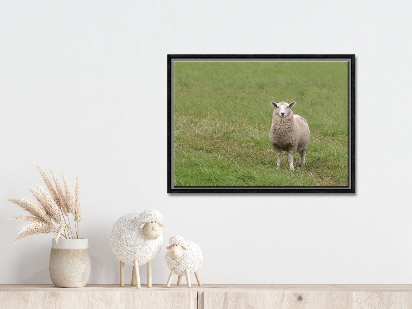 A lone sheep in the fields of Ireland. Framed Canvas Wall Art by Kristen Olivares