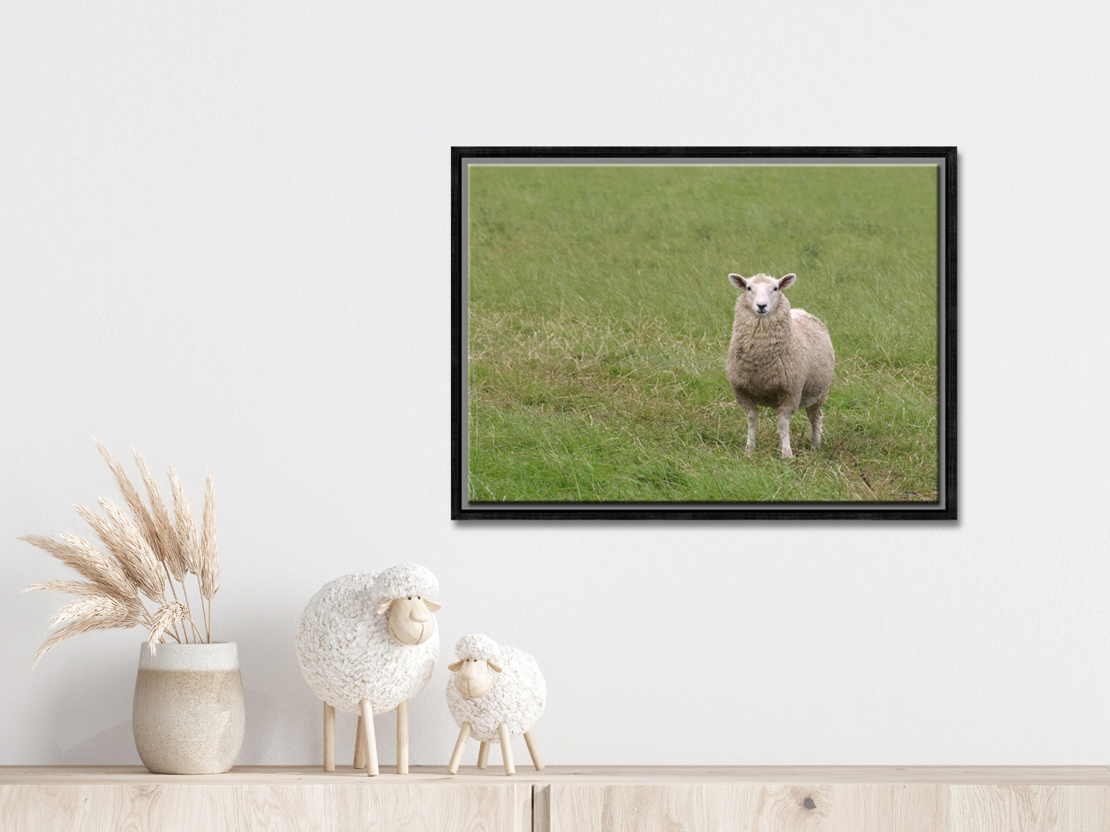 A lone sheep in the fields of Ireland. Framed Canvas Wall Art by Kristen Olivares