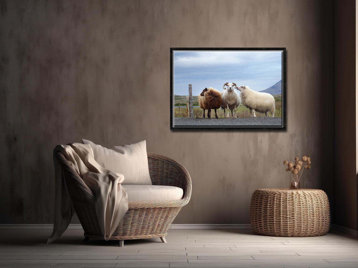 Sheep Secrets-Fine Art Photography-Three Sheep Standing on the Side of the Road in Iceland