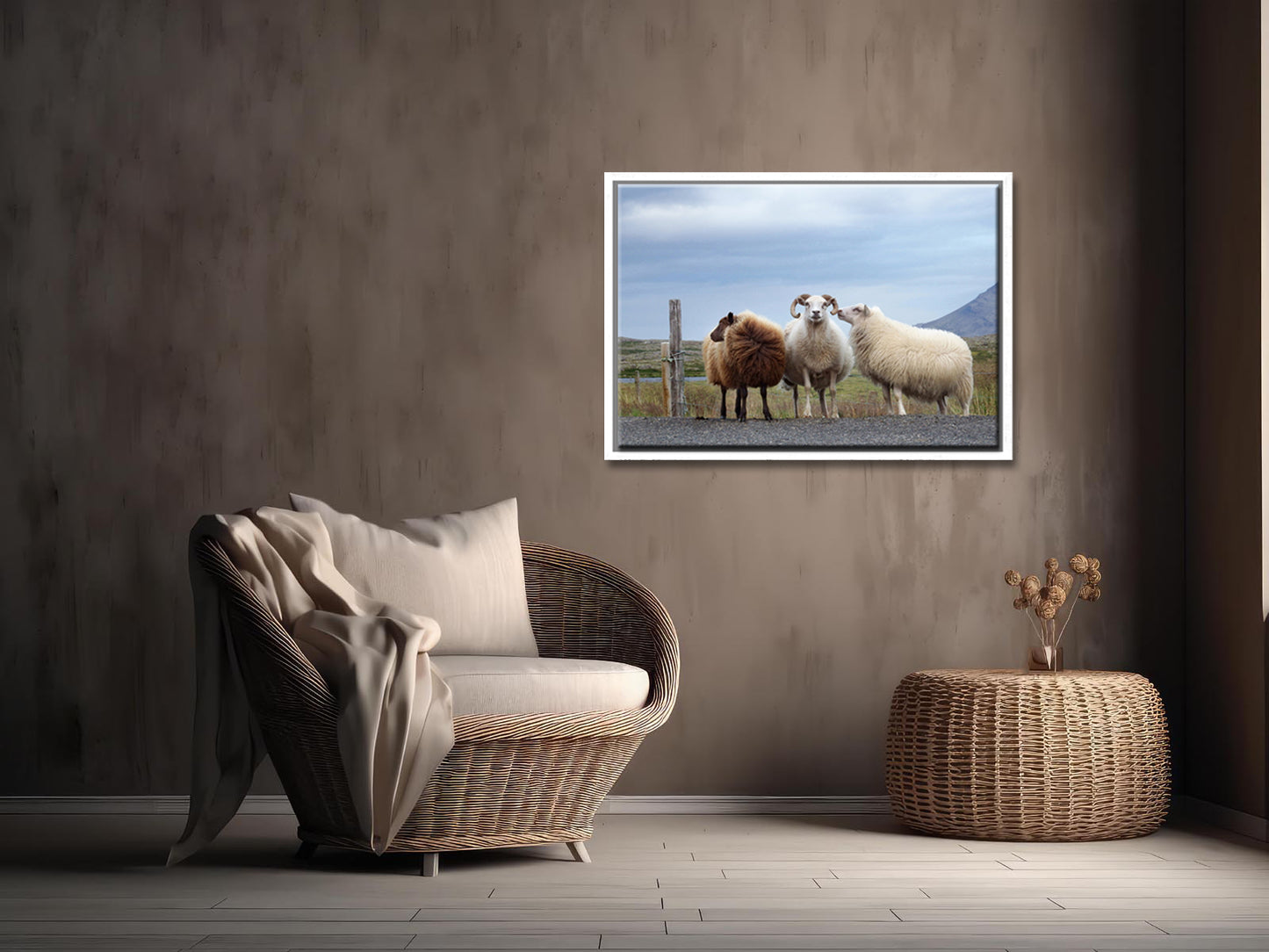 Sheep Secrets-Fine Art Photography-Three Sheep Standing on the Side of the Road in Iceland