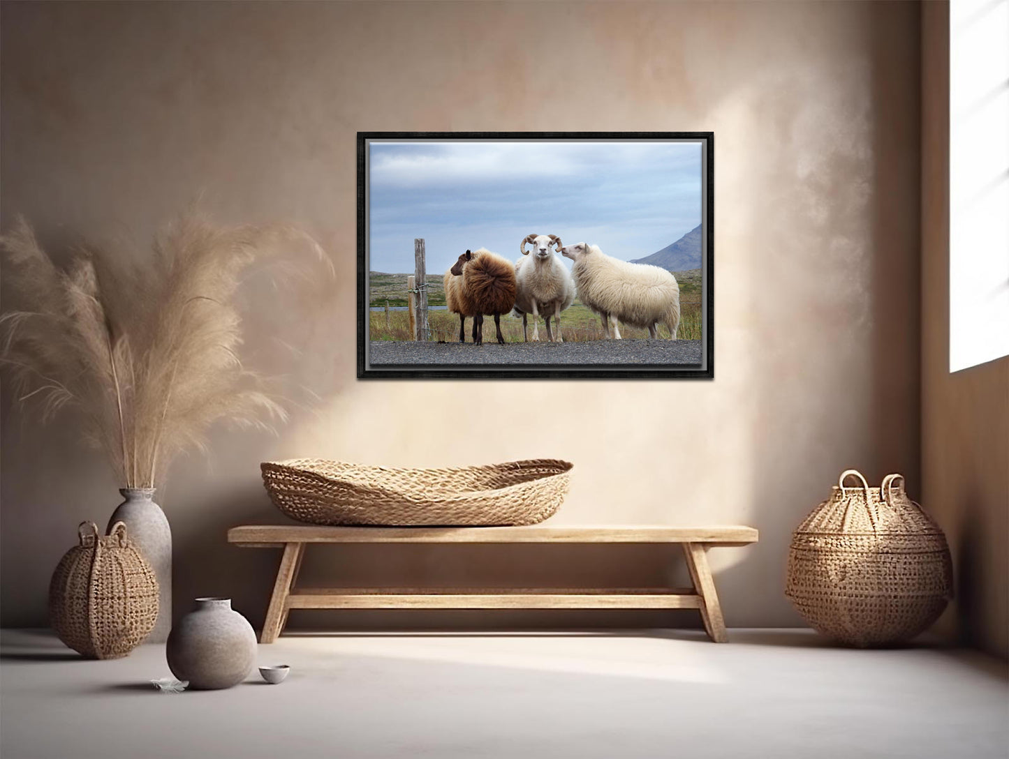 Sheep Secrets-Fine Art Photography-Three Sheep Standing on the Side of the Road in Iceland