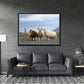 Sheep Secrets-Fine Art Photography-Three Sheep Standing on the Side of the Road in Iceland