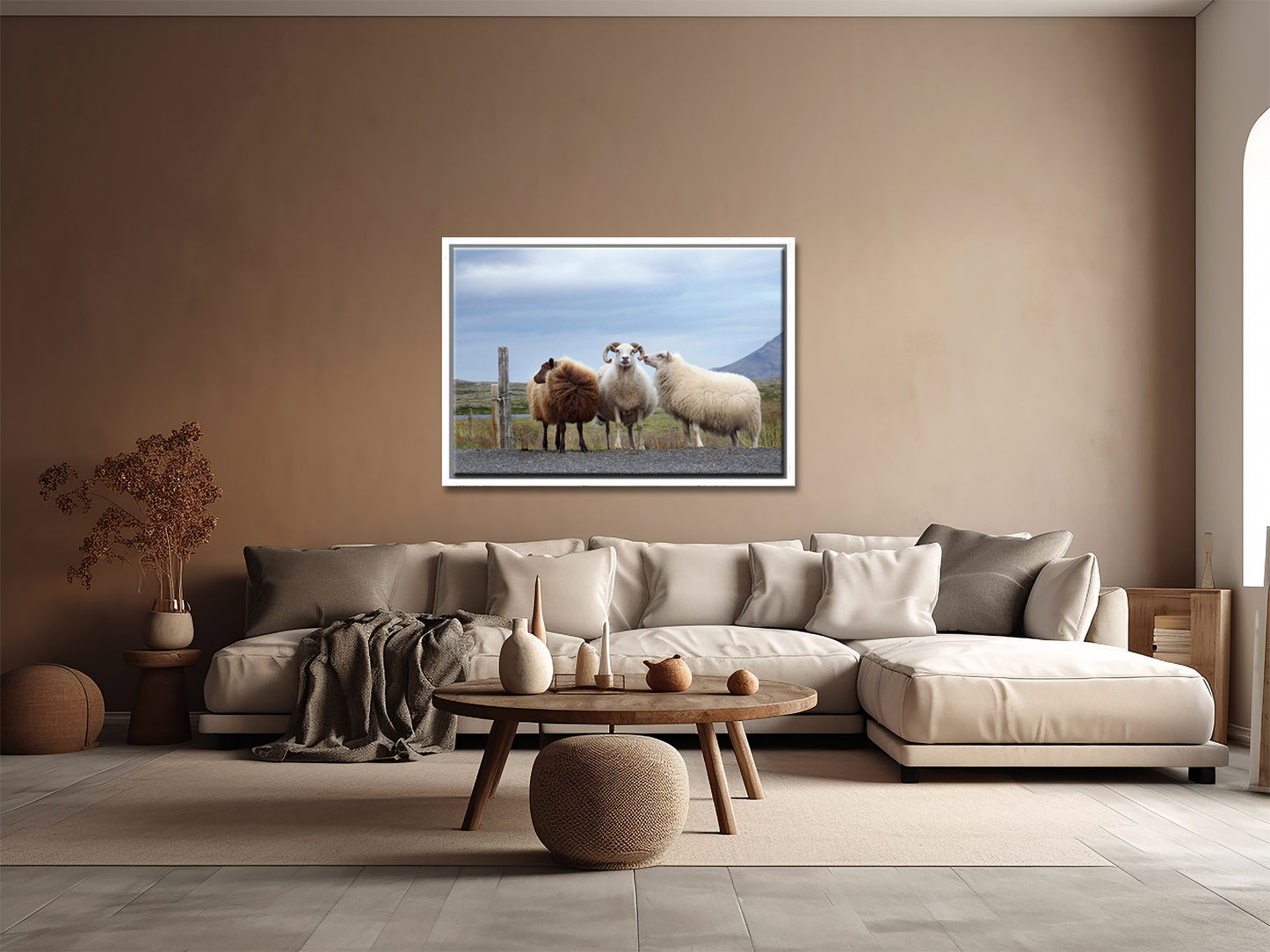 Sheep Secrets-Fine Art Photography-Three Sheep Standing on the Side of the Road in Iceland