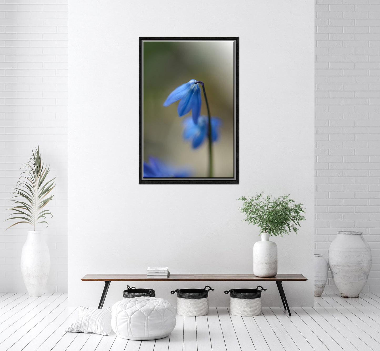 Delicate, Blue Siberian Squill Flowers. Framed fine art photography by Kristen Olivares.