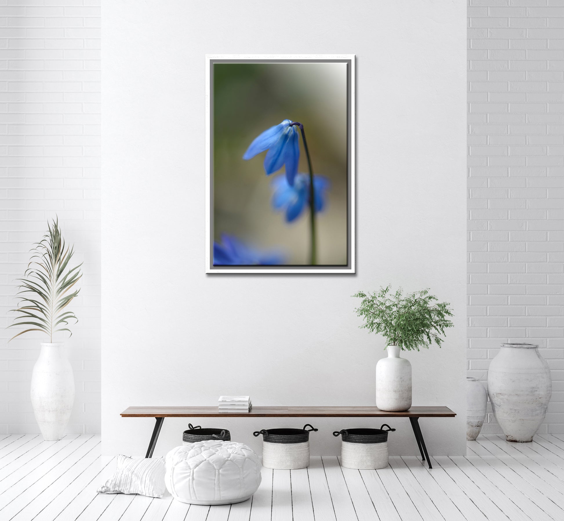 Delicate, Blue Siberian Squill Flowers. Framed fine art photography by Kristen Olivares.
