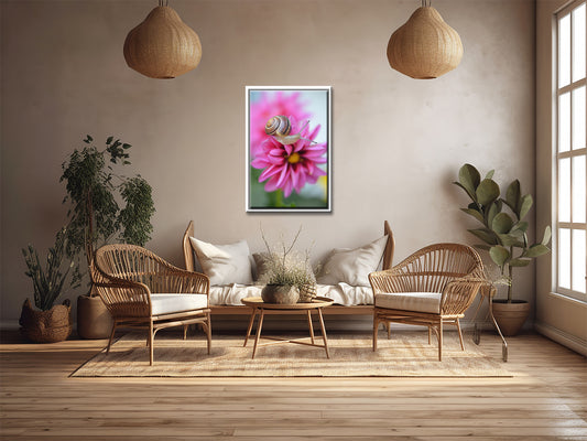 A beautiful little brown snail crawling on a vibrant pink Dahlia flower. Framed Fine Art Photography by Kristen Olivares