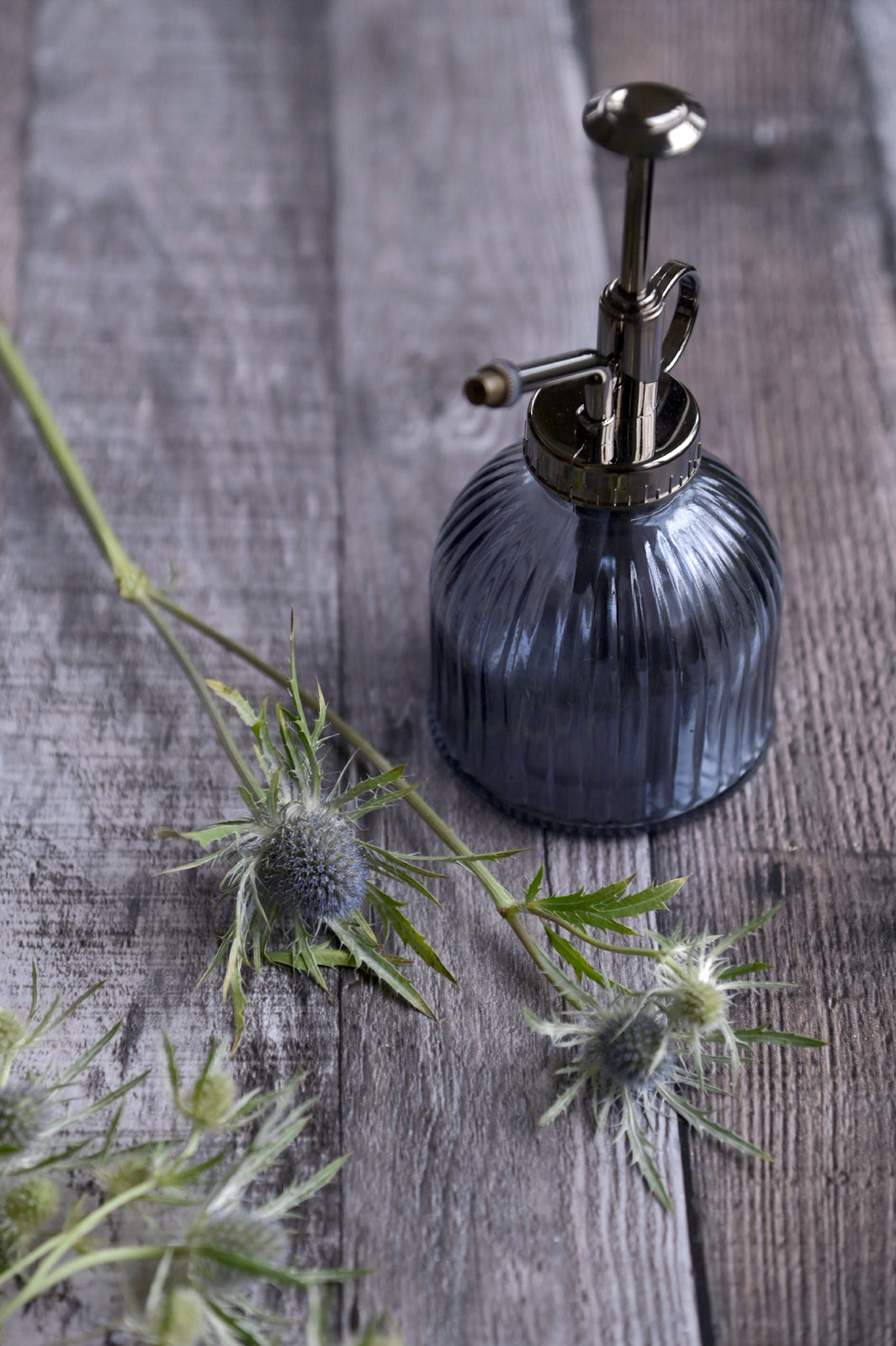 Vintage Glass Blue Spray Bottle with dried flowers.  Fine Art Photography. Kristen Olivares