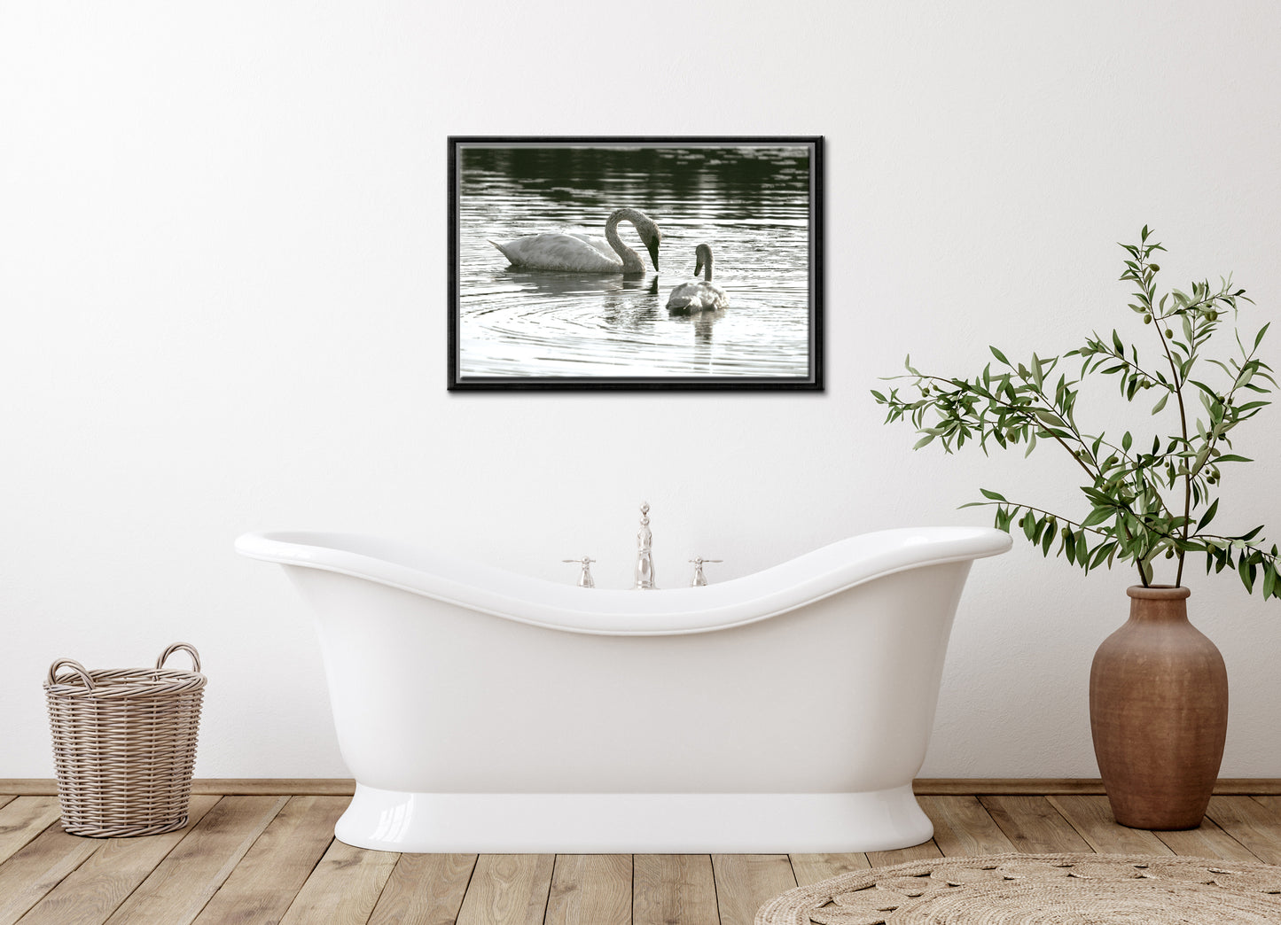 Beautiful mother and baby swan swimming in the lake. Framed Fine Art canvas Print by Kristen Olivares