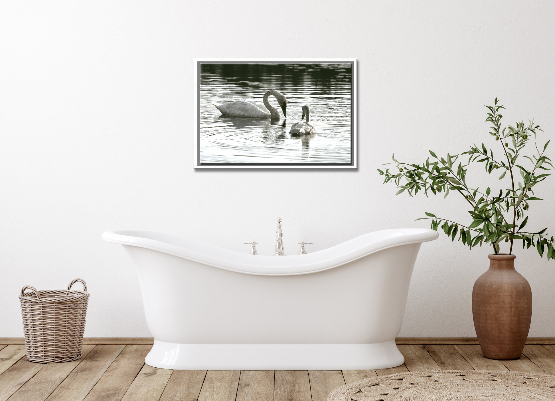 Beautiful mother and baby swan swimming in the lake. Framed Fine Art canvas Print by Kristen Olivares
