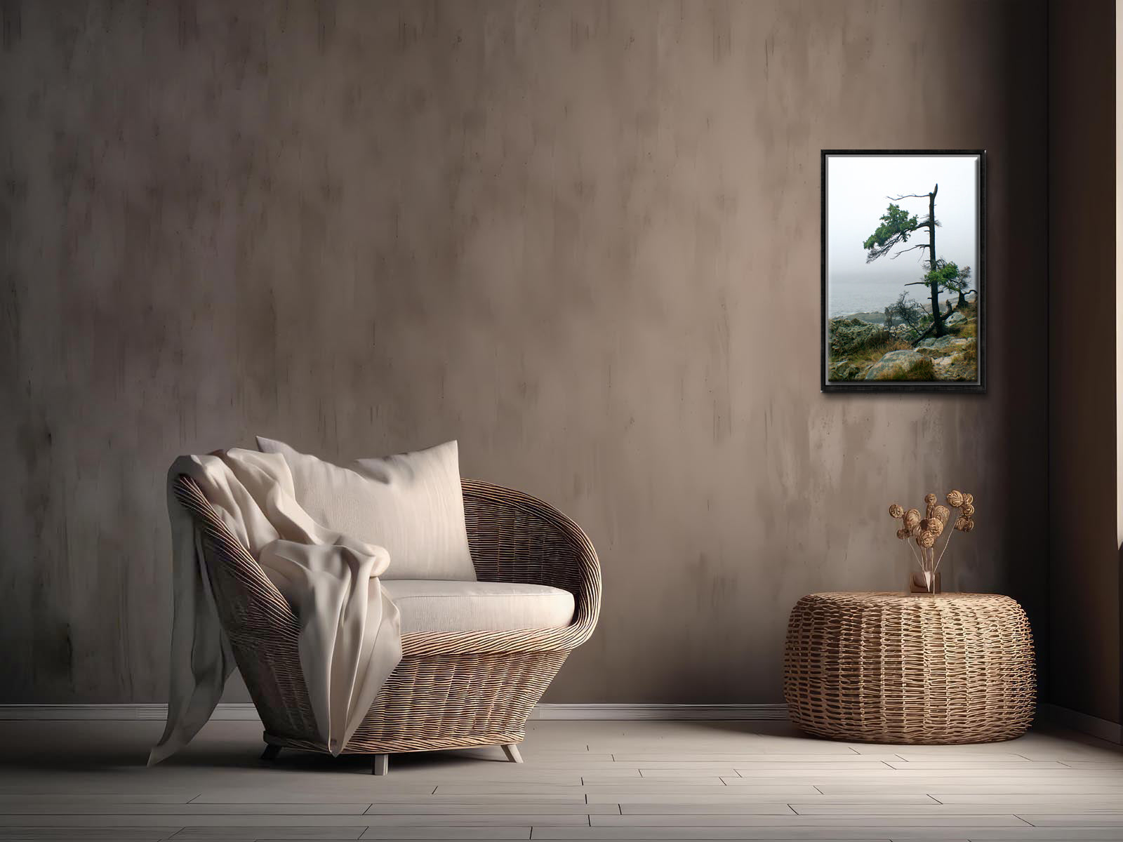 Stunning, evergreen tree on the coast of Maine. Framed fine art photography by Kristen Olivares.