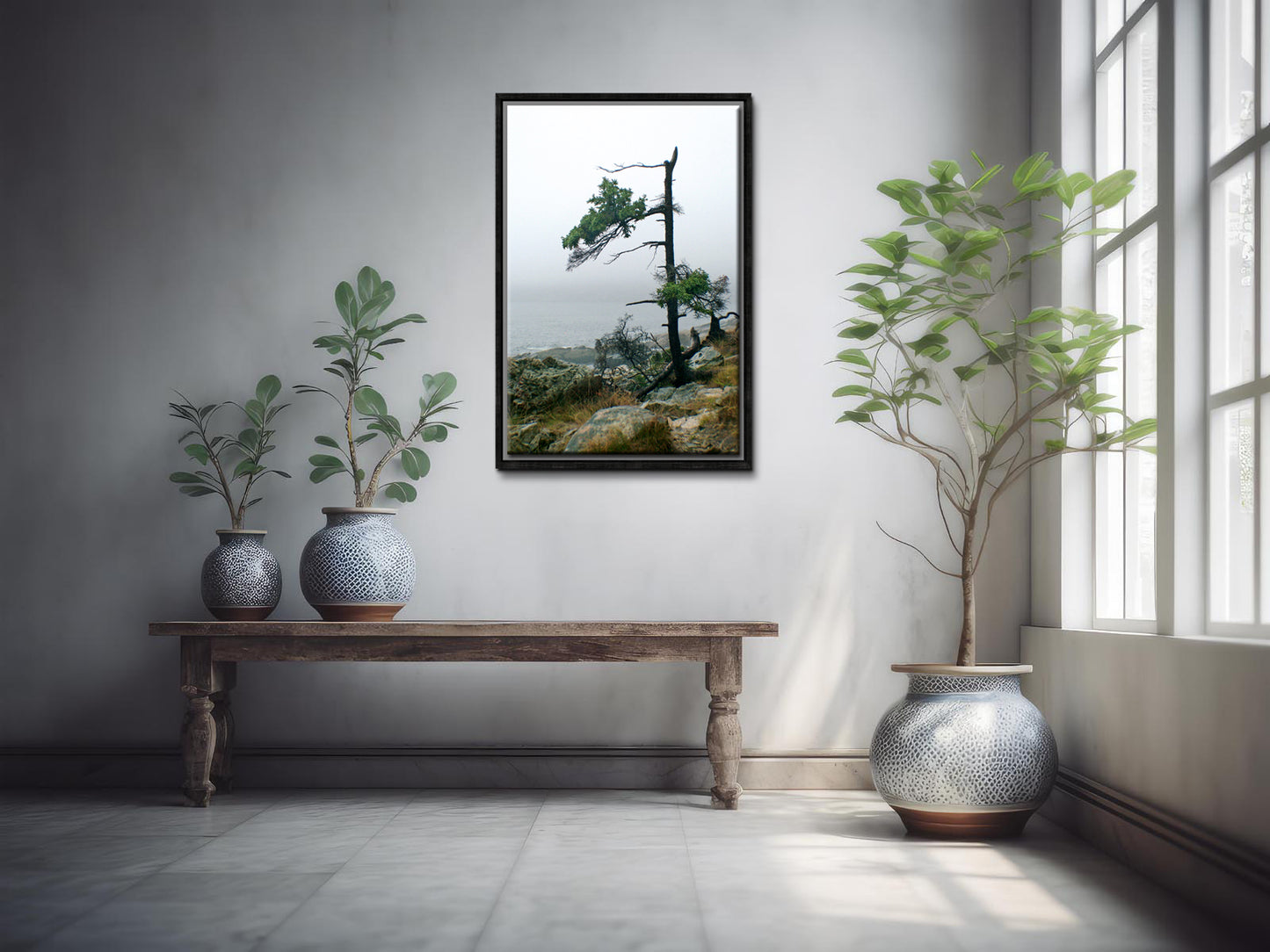 Stunning, evergreen tree on the coast of Maine. Framed fine art photography by Kristen Olivares.