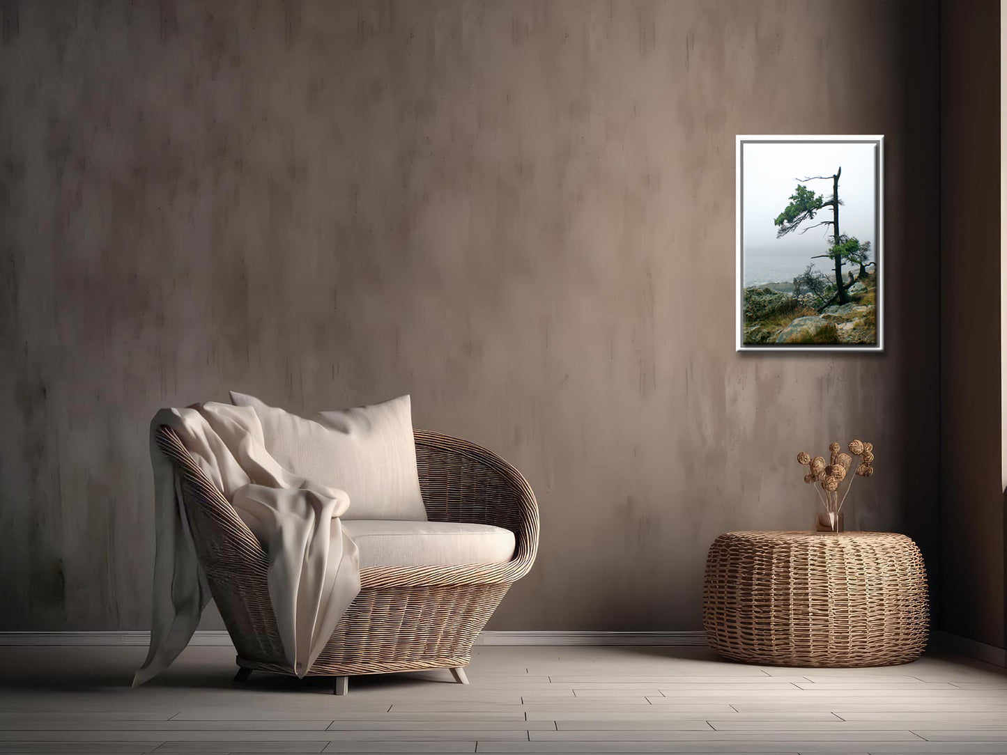 Stunning, evergreen tree on the coast of Maine. Framed fine art photography by Kristen Olivares.