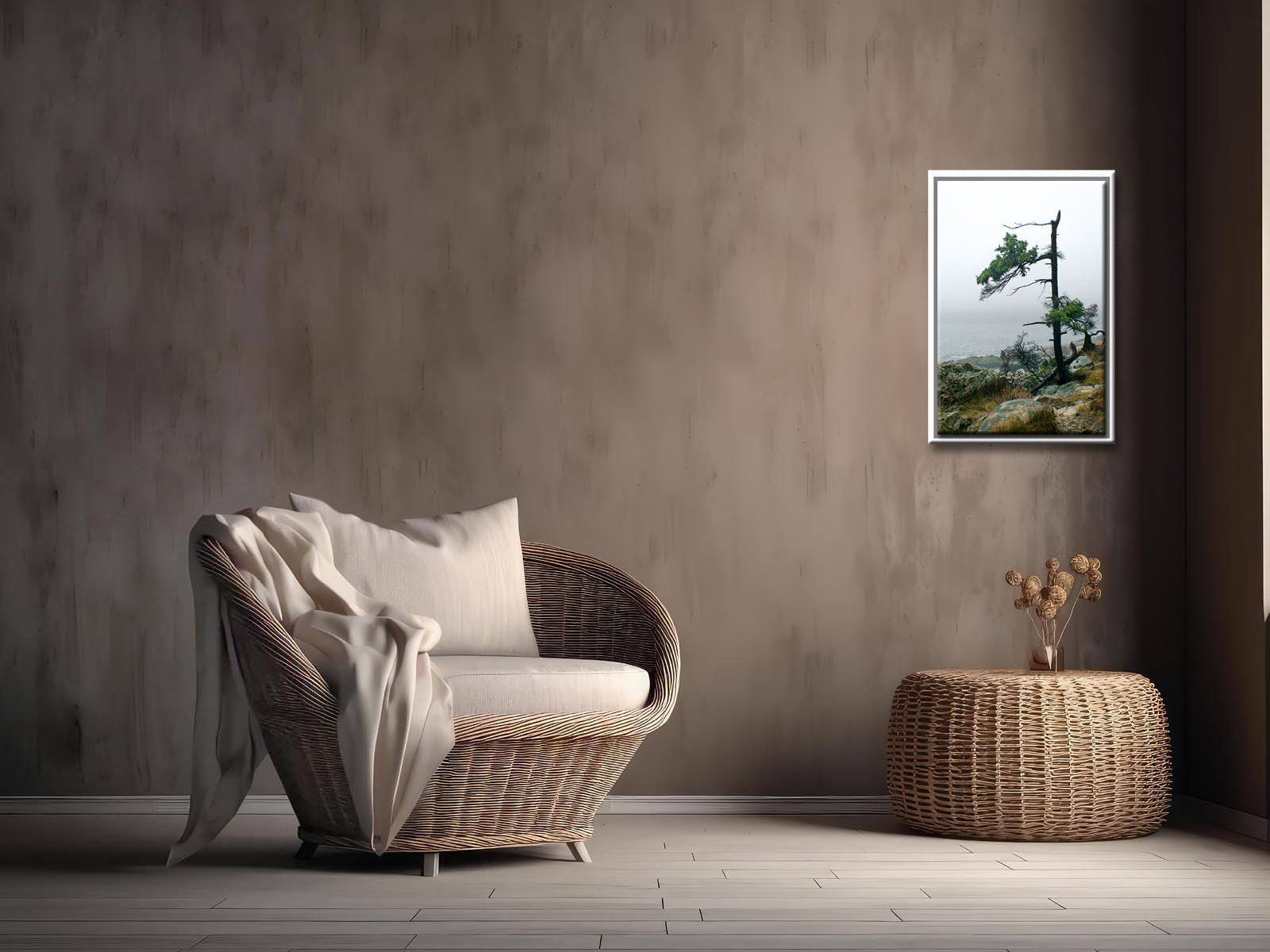 Stunning, evergreen tree on the coast of Maine. Framed fine art photography by Kristen Olivares.
