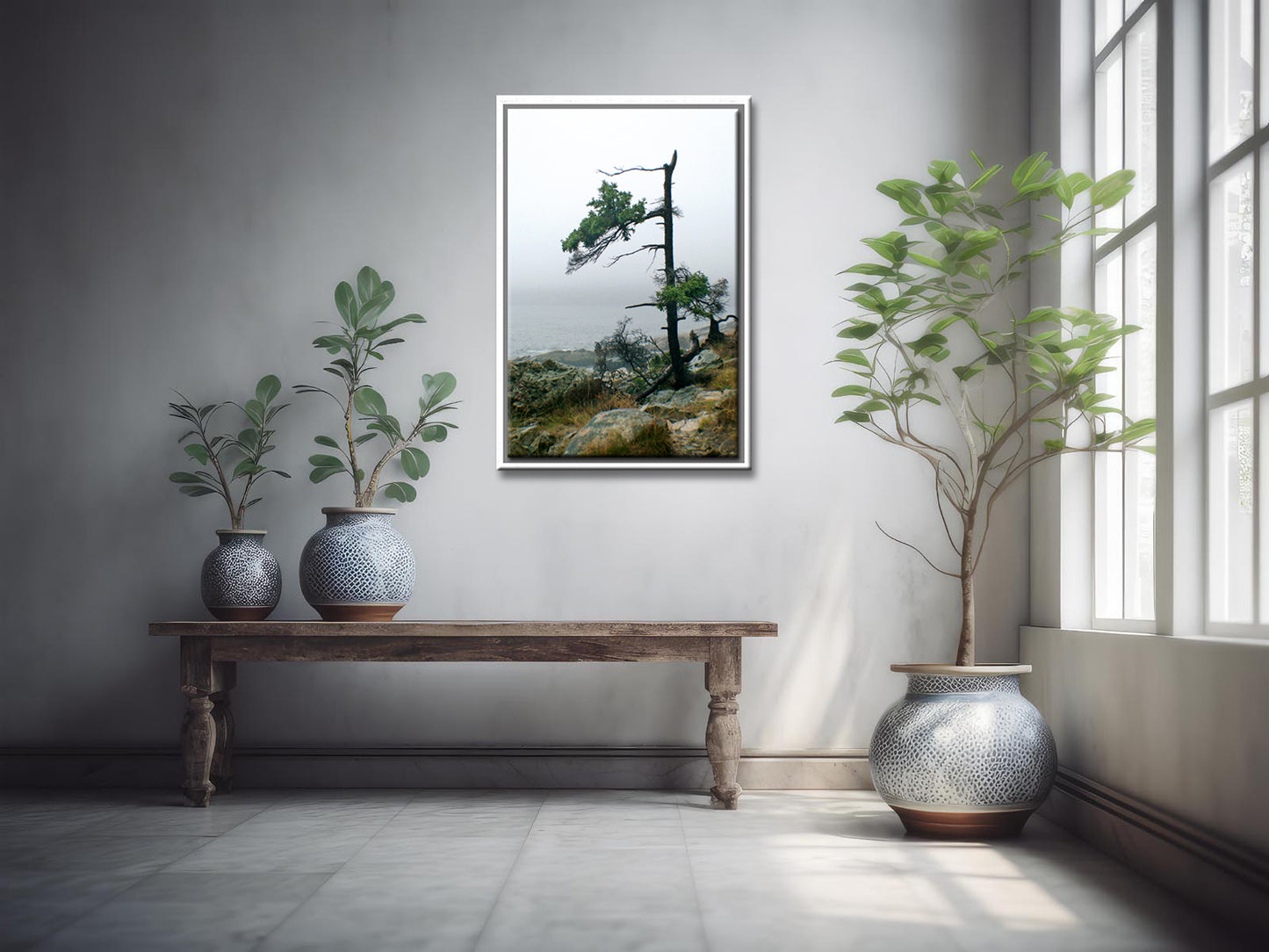 Stunning, evergreen tree on the coast of Maine. Framed fine art photography by Kristen Olivares.